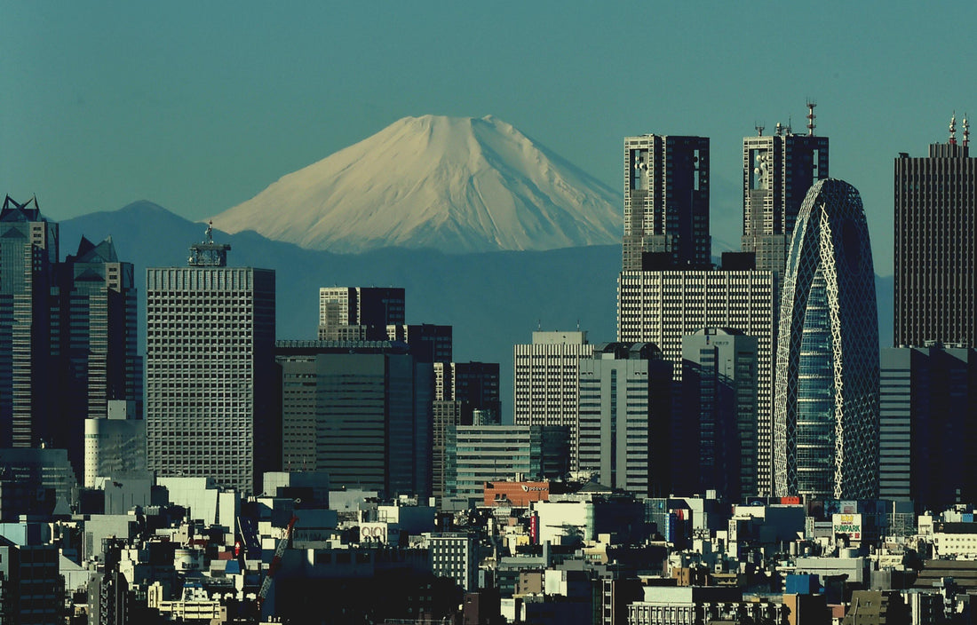 West Shinjuku skyline with Mt. Fuji. Photo by David Denardi on Pexels.